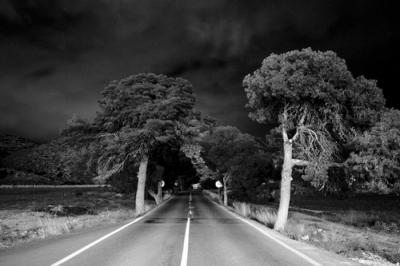 Camino a casa